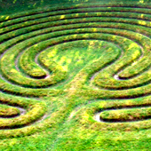 Bild "Labyrinth z.jpg"